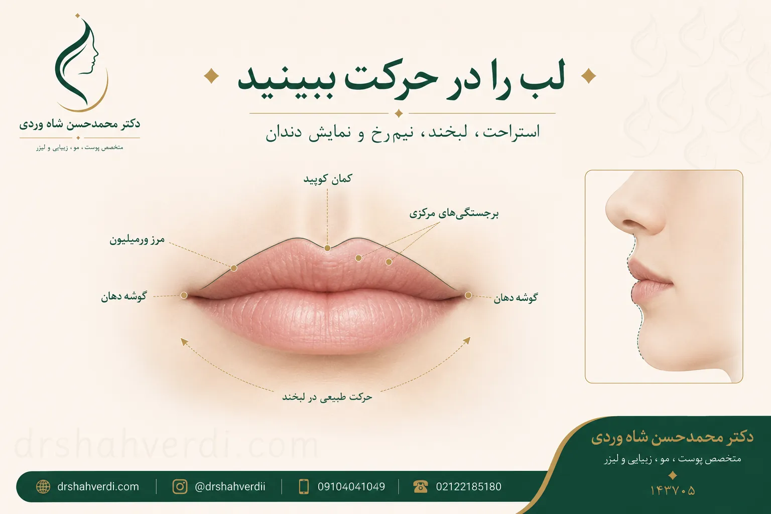 آناتومی ساده لب شامل حاشیه قرمز، کمان کوپید، گوشه‌ها و حرکت لبخند