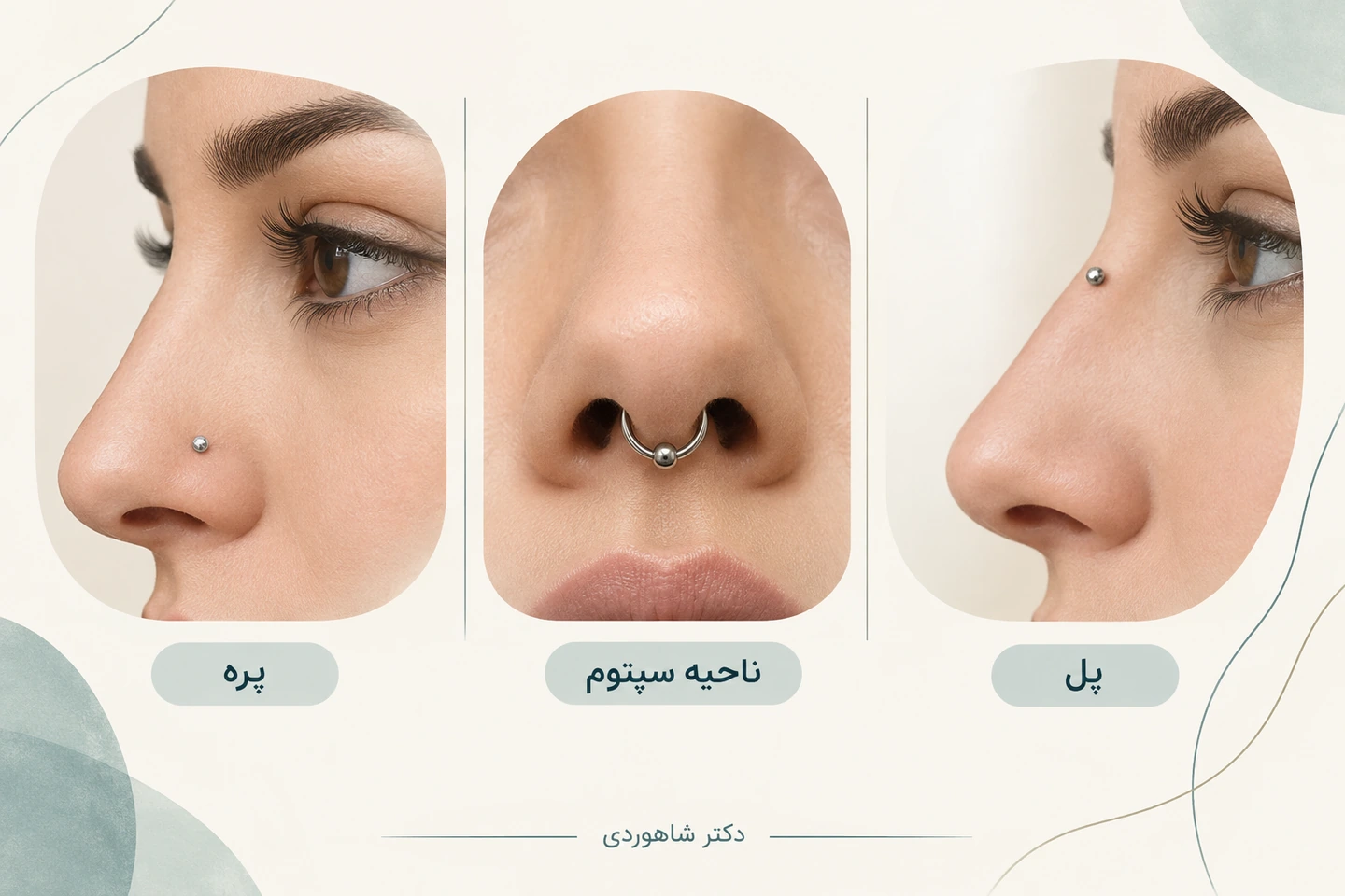 سه محل پره، ناحیه سپتوم و پل بینی با برچسب روی طرح ساده