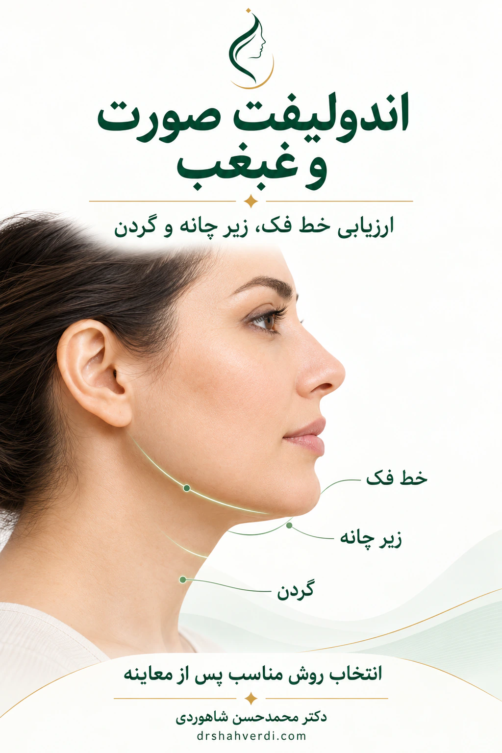 نمای نیم‌رخ صورت با مشخص‌کردن خط فک، زیر چانه و گردن