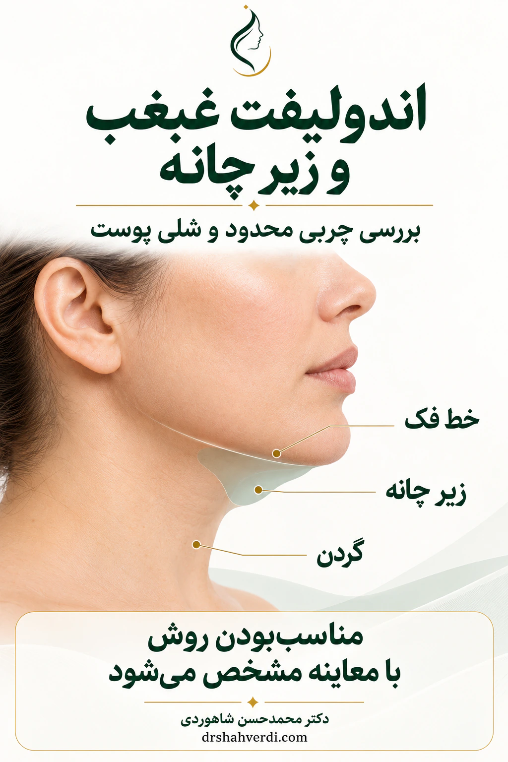 نمای جانبی صورت با مشخص‌کردن خط فک، محدوده زیر چانه و گردن