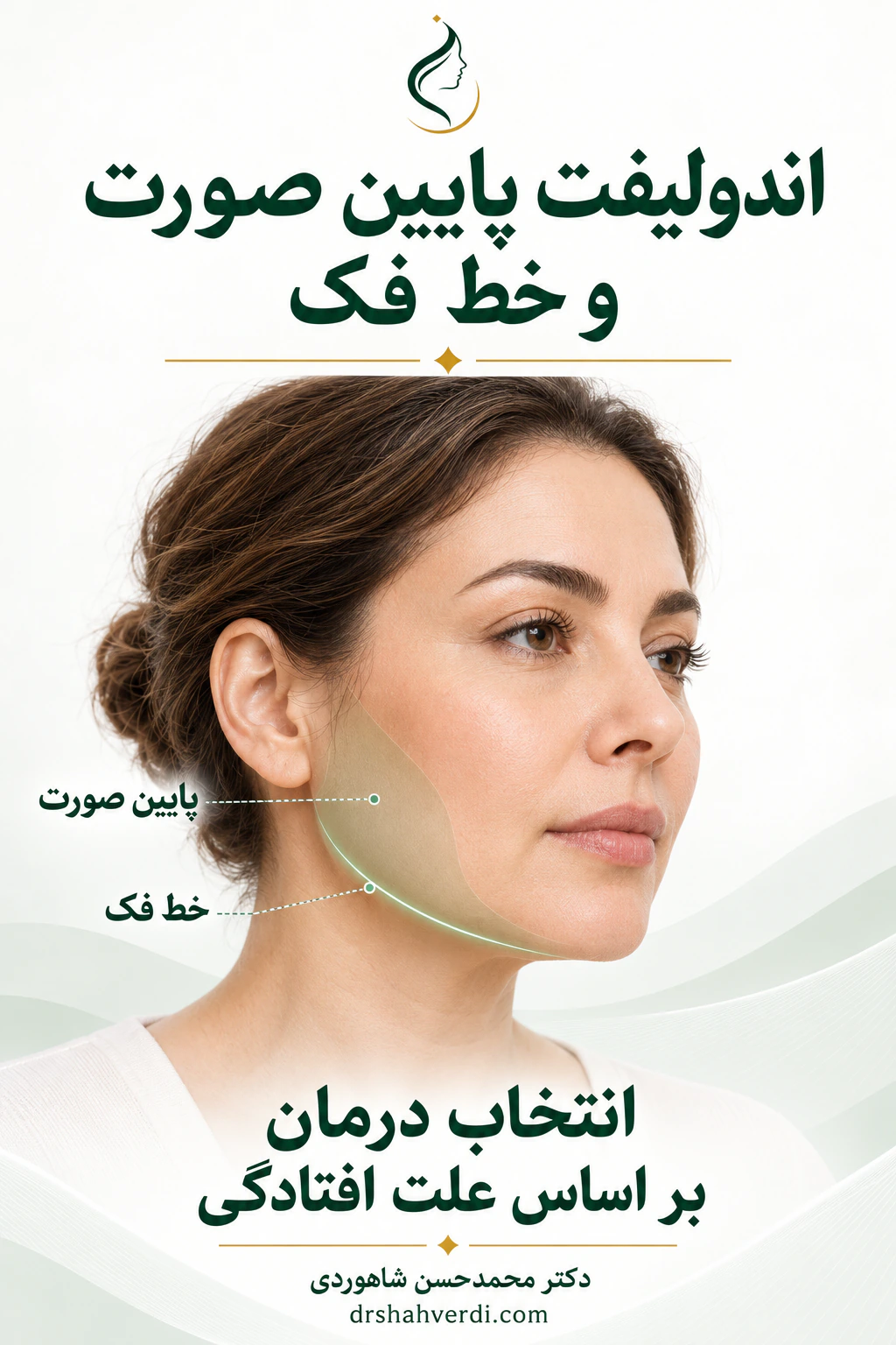 نمای سه‌رخ صورت با مشخص‌کردن محدوده پایین صورت و خط فک
